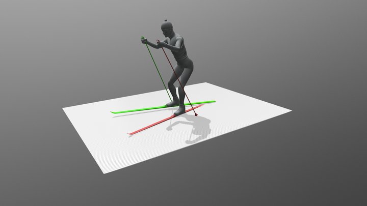 Skiing, double skate [Animated] 3D Model