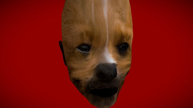 Commande: La tête animale 3D Model