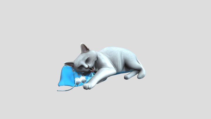 Cat ready for dental surgery_obj – Modello 3D gratuito STL