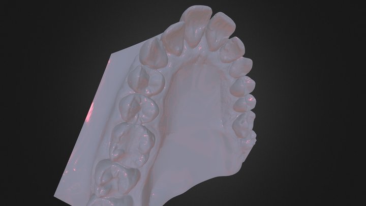 sup 3D Model