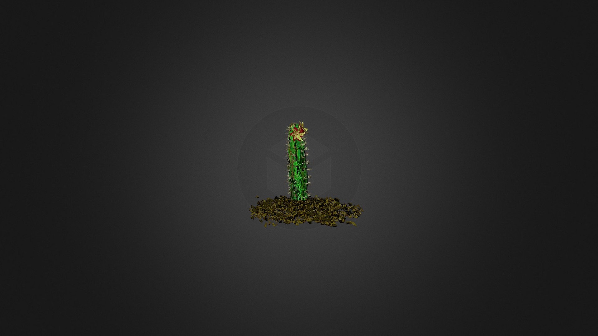cactus#2