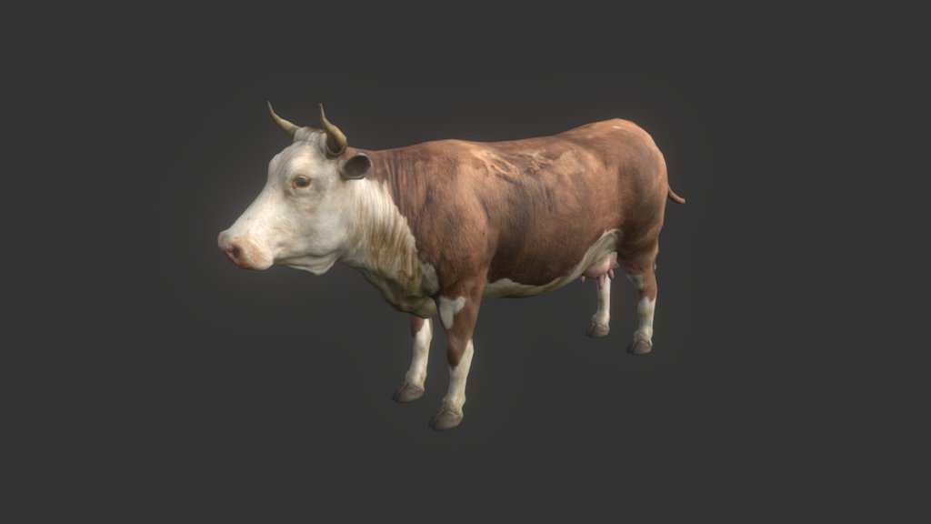 Cow - 3D model by PinkCloud Studio (@pinkcloudstudio) [93b3372] - Sketchfab