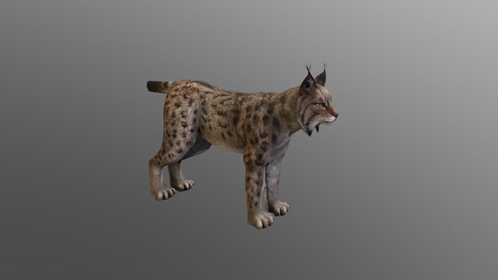 Lynx Big Edit 3 3D Model