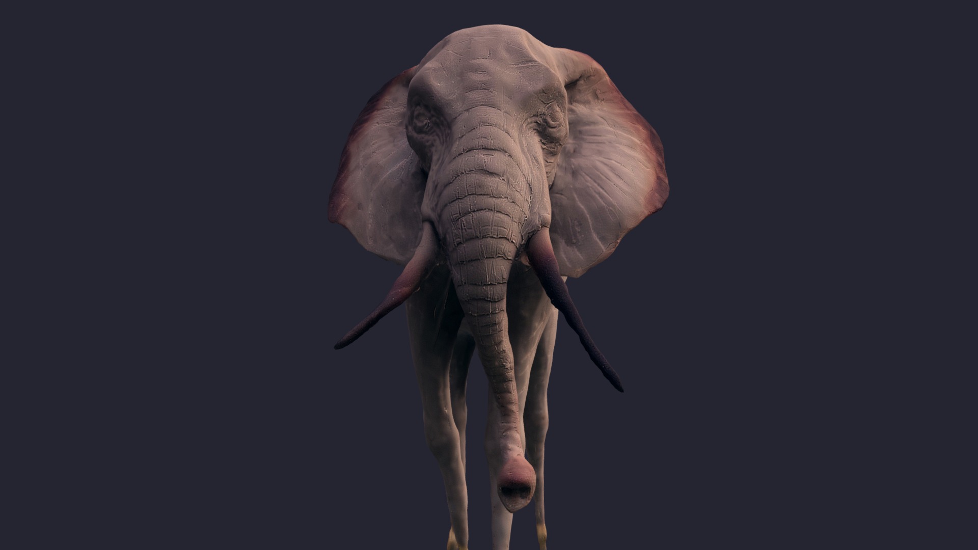3D model Elephant Sculpt - This is a 3D model of the Elephant Sculpt. The 3D model is about an elephant with tusks.