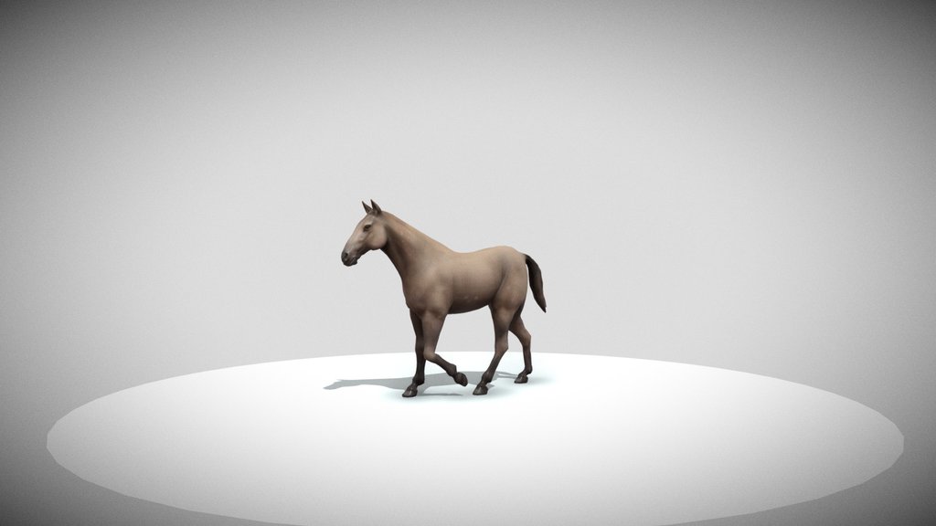 Horse Walk