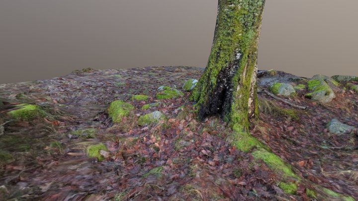 Biome gothenburg 05