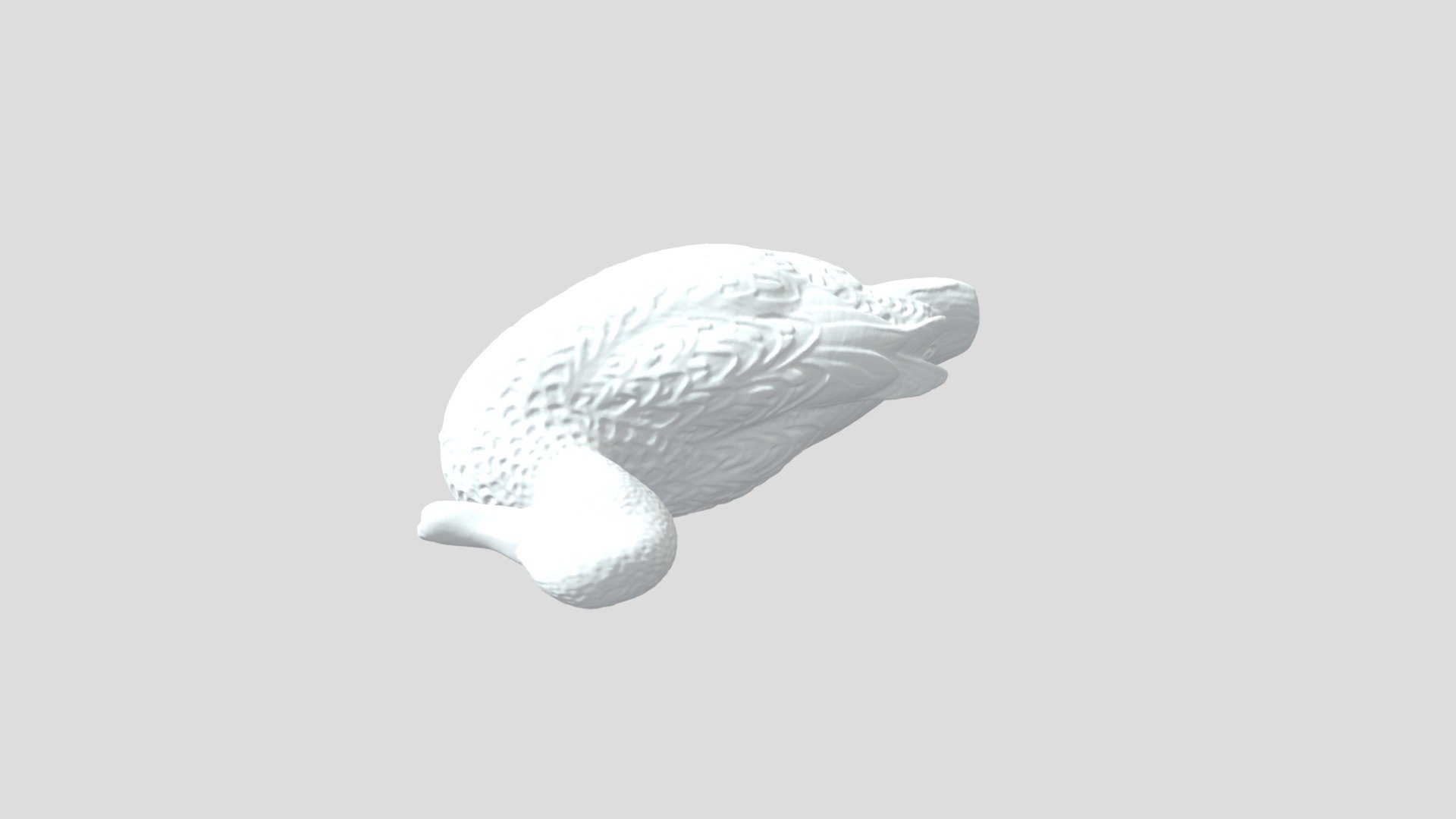 duck-mesh - 3D model by dollhouselady1 [93b71f3] - Sketchfab