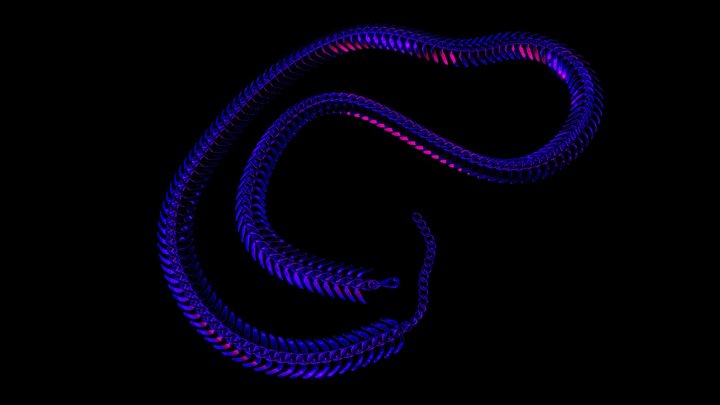 Fish spine chain 3D Model