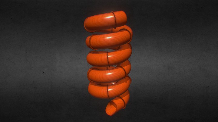 Water Slide Spiral (5 turn) 3D Model