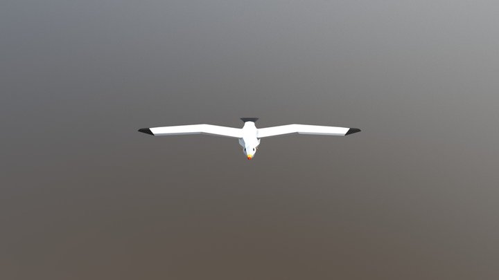 Low Poly Seagull 3D Model