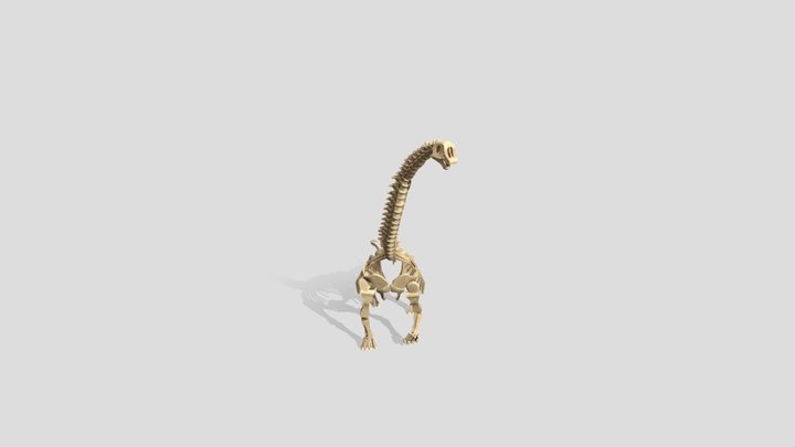 Low Poly Brachiosaurus Skeleton 3D Model