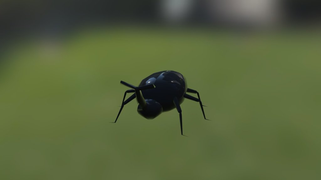 Bug Male