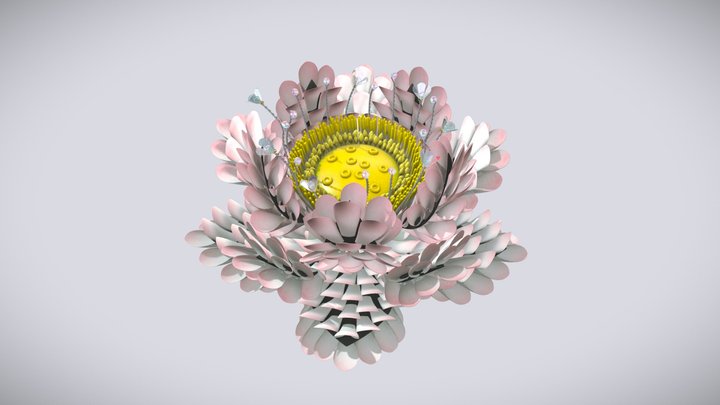 Paper Handmade Flower 3D Model