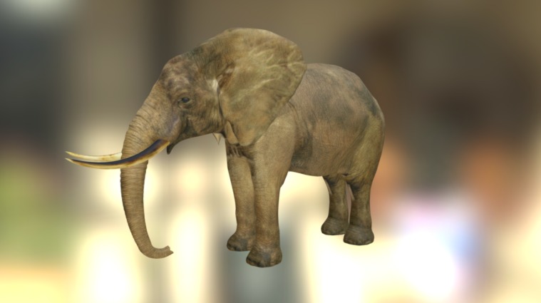 Elephant 3D Model $69 - .fbx .ma .obj - Free3D