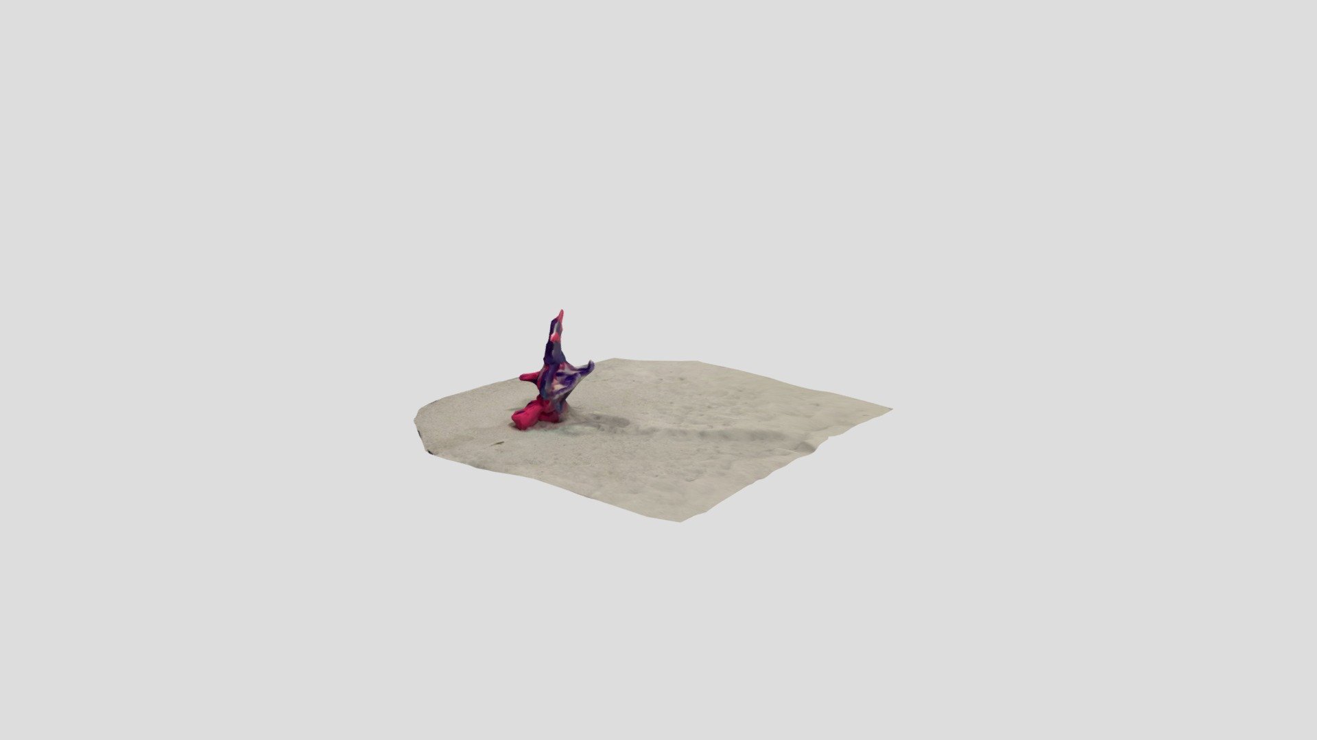 Polycam capture
