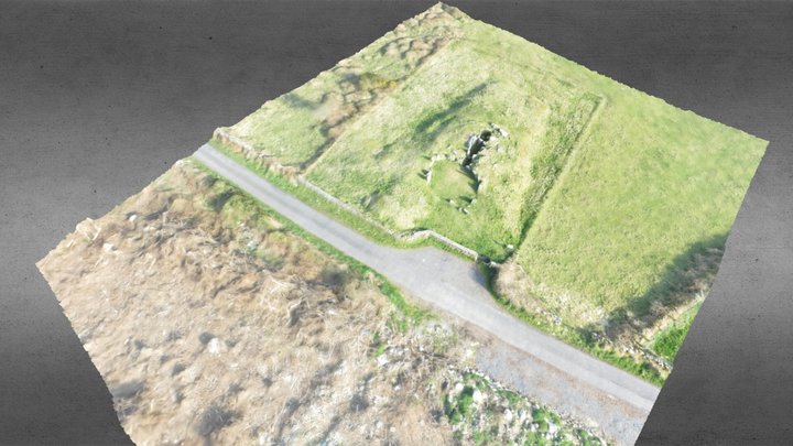 Court Tomb and Cairn, Ballymacdermot. 3D Model