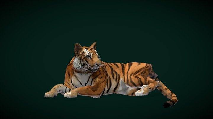 modèle 3D de Tigre blanc (2) - TurboSquid 1443796