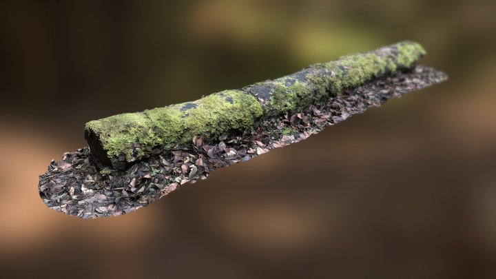 Lying trunk covered with moss – Gratis 3D-model STL