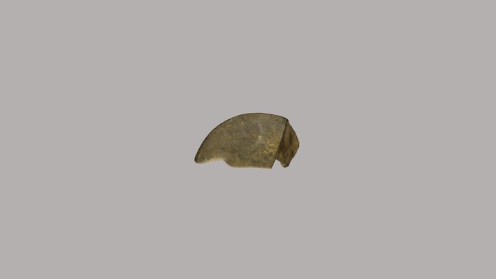 Zoólito 74 07b-07 3D Model