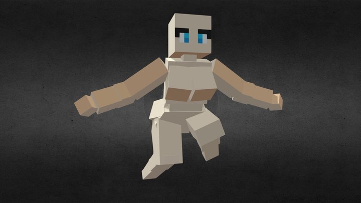 Female Minecraft Base Model 4 3D Model