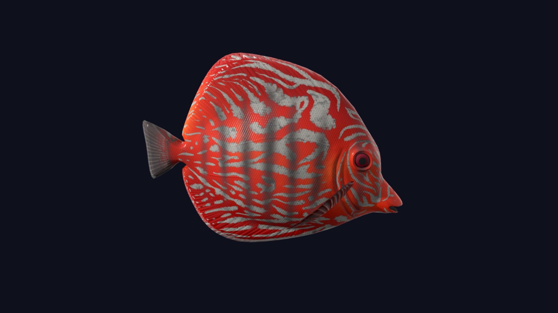 Fish SGD 116 - Logan Thomas