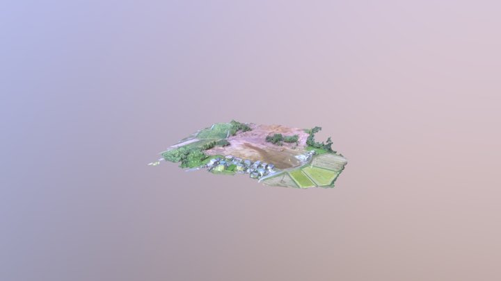 WWD20170905 Simplified 3d Mesh 3D Model