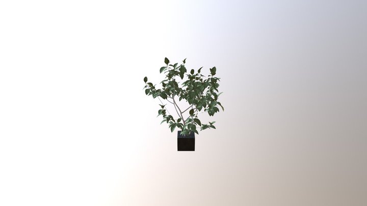 PlantTest 3D Model