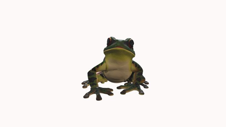 Лягушка 3D Model