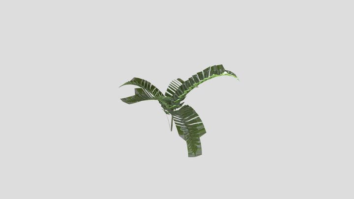 Bracken – Free 3D Model STL