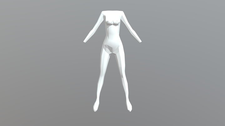 Cuerpo Humano 3D Model