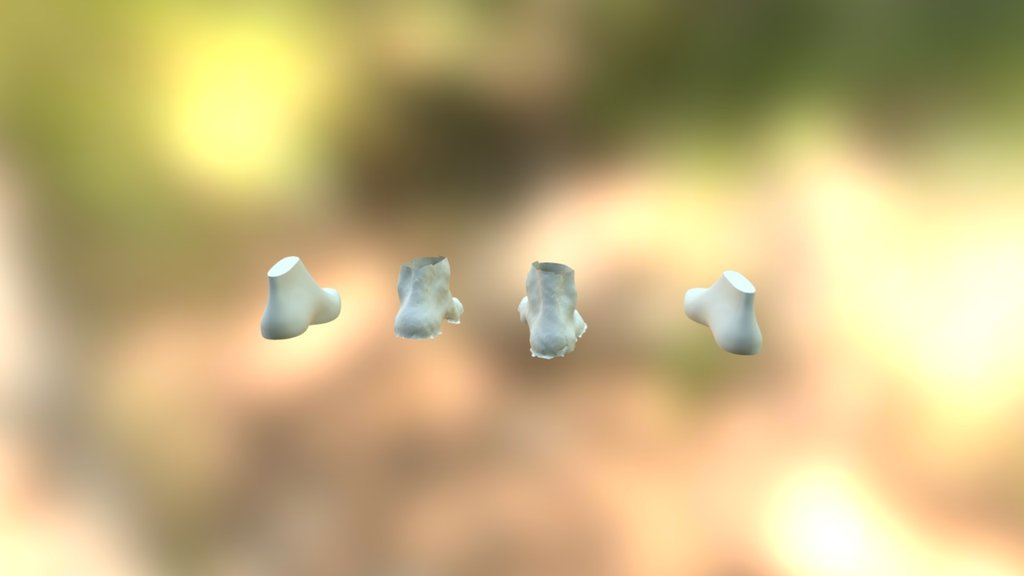 Lombardi Comp — Sketchfab embed 3D viewer