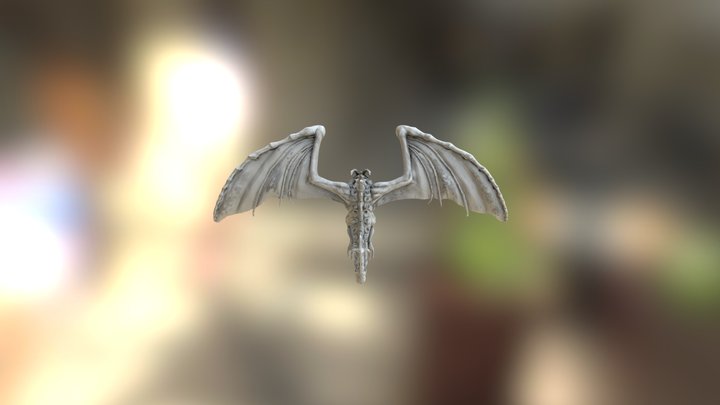 Zraconem Low Poly TEST 3D Model