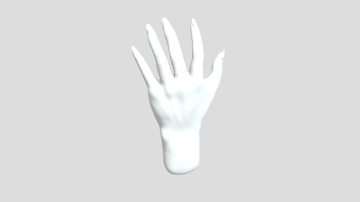 Human Hand Study 3D Model