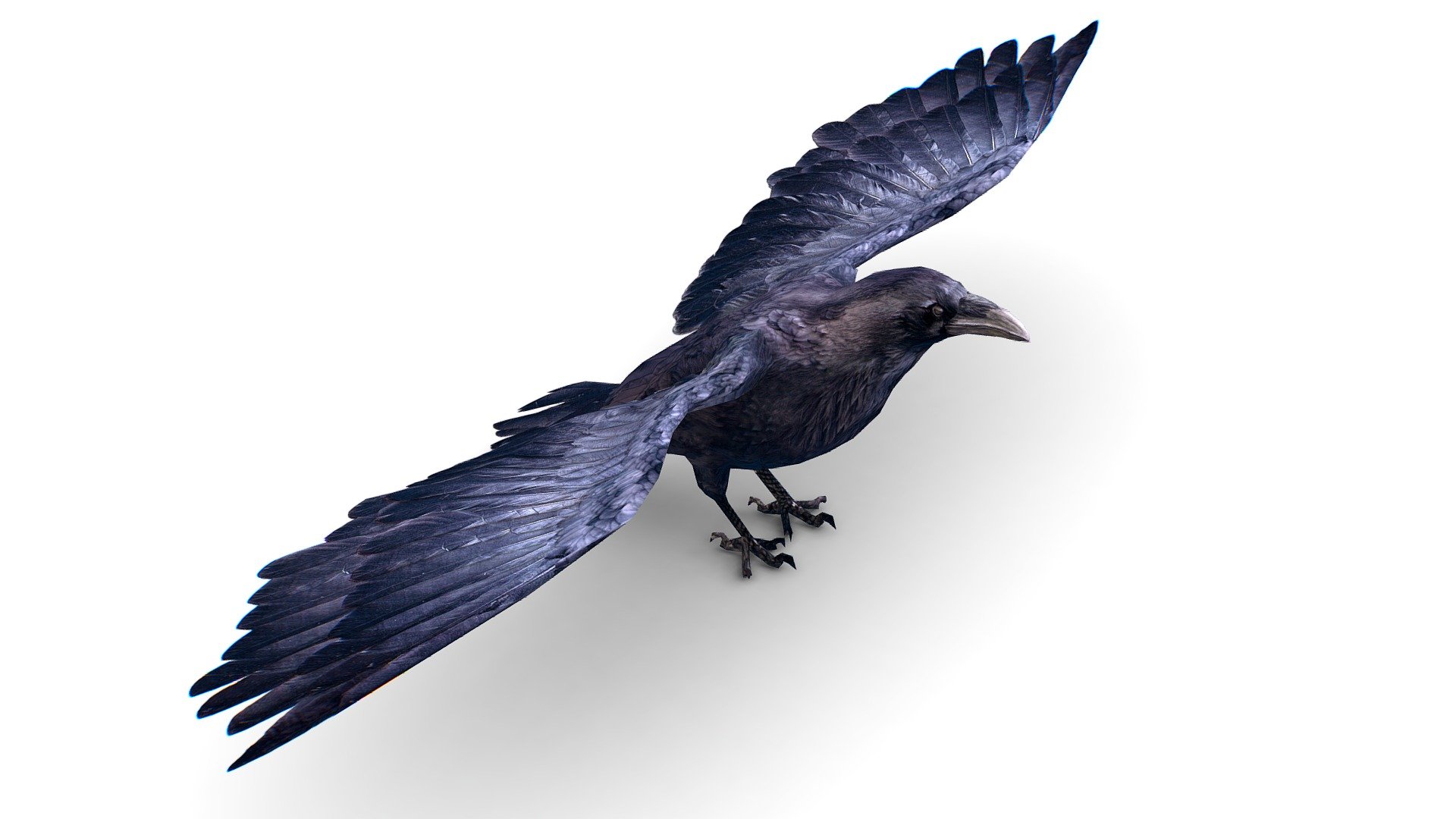 Details 72+ anime raven bird - awesomeenglish.edu.vn