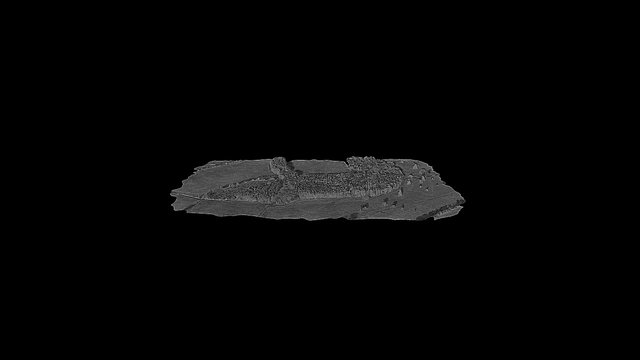 Multispectral Forest Mesh 3D Model