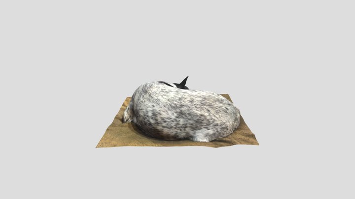 Sleeping Dog - Japanese cute dog 3D Model