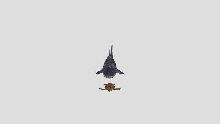 shark_conference_final 3D Model