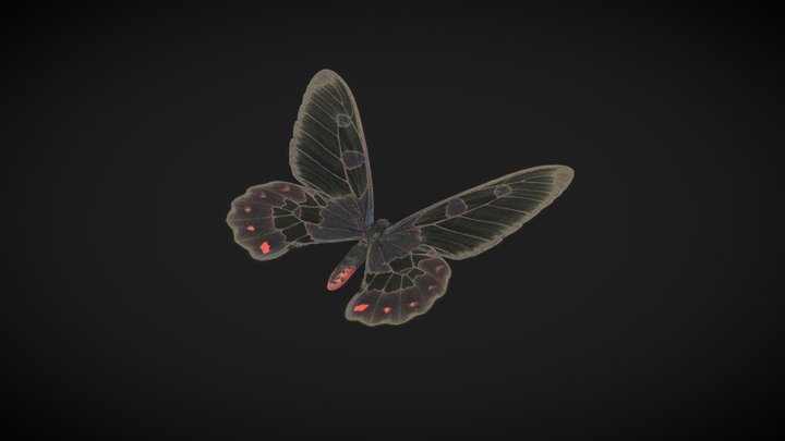 Clearwing Swallowtail 3D Model