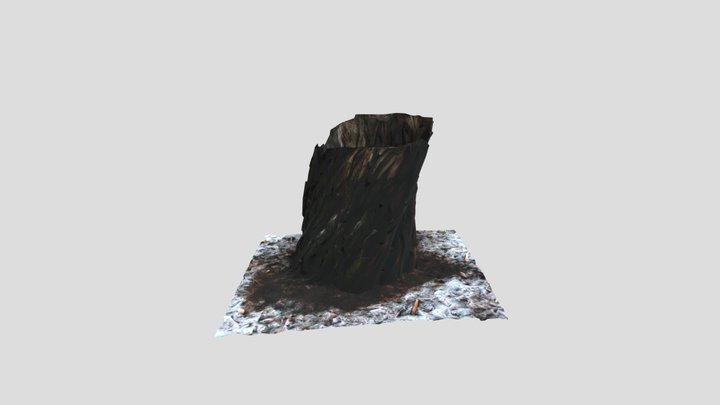 Tree_Model_SF 3D Model