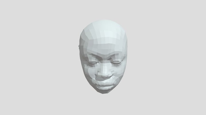 Polyface 3D Model