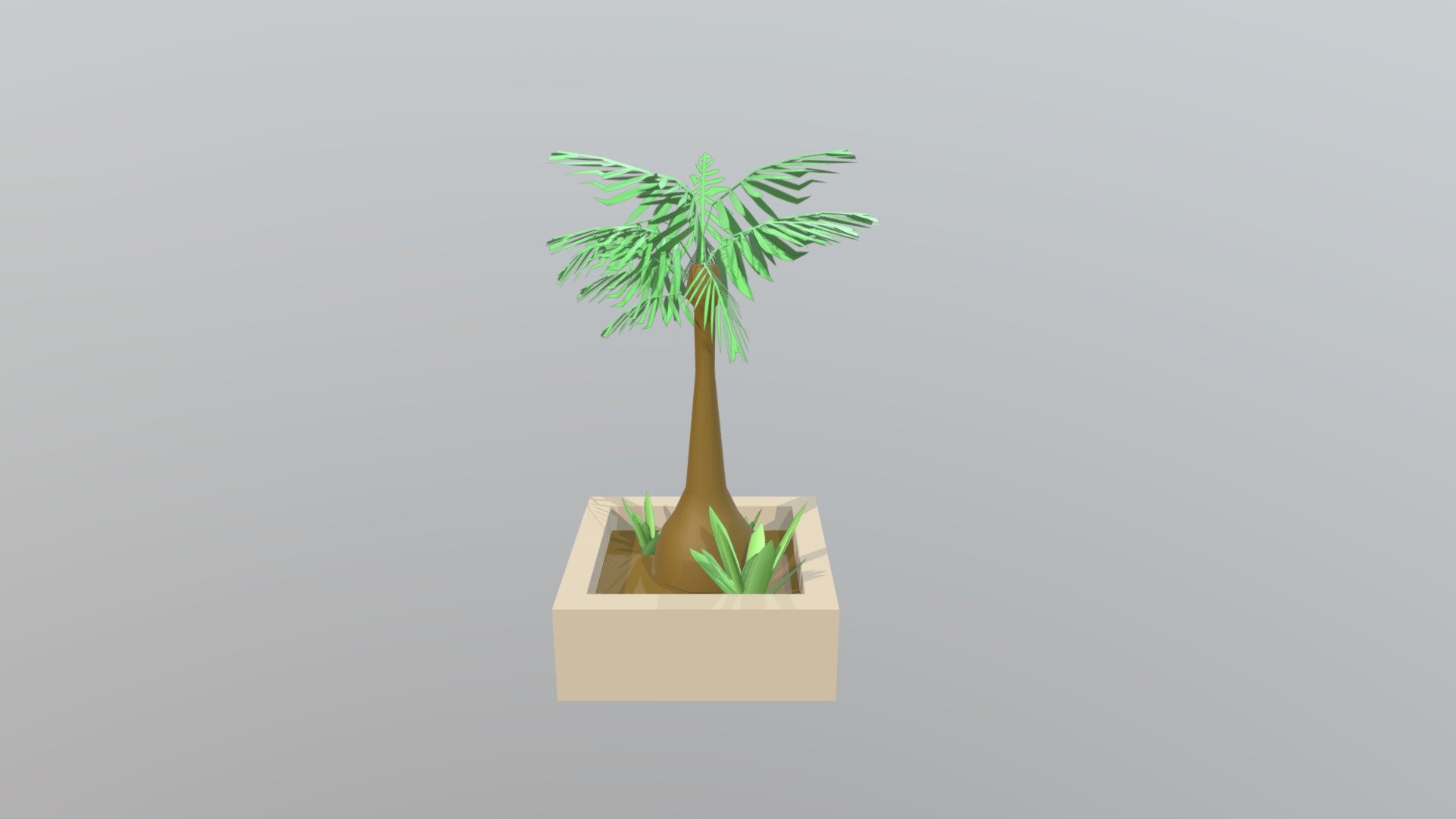 Mall Palm Tree