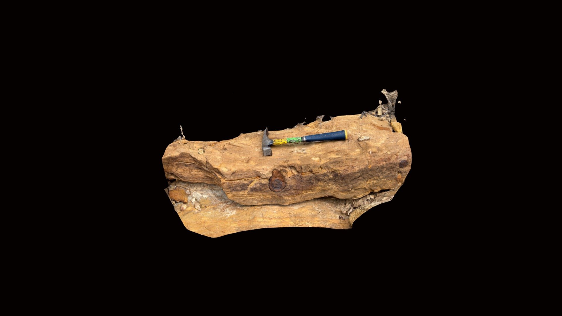 Iron Springs Fm vertebrate trace fossils