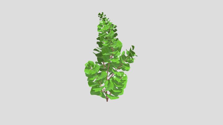 Young Linden Sprout – Modèle 3D gratuit STL