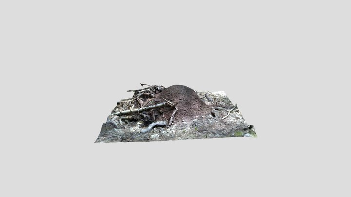 Wood ants nest. Kiri edited – Modello 3D gratuito STL