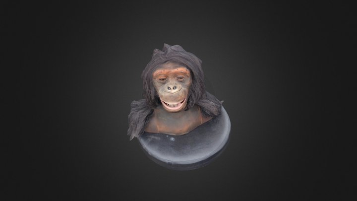 monkey 2 3D Model