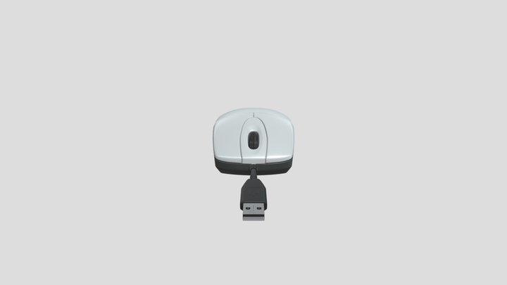 Computer Mouse