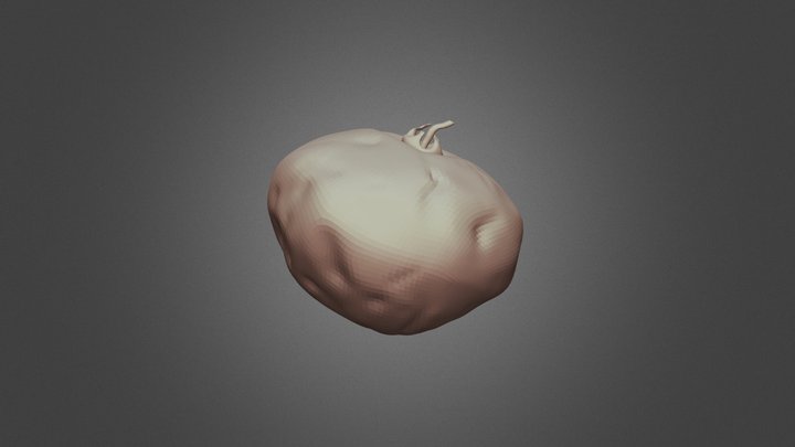 Day4 Rotten SculptJanuary 2019 3D Model