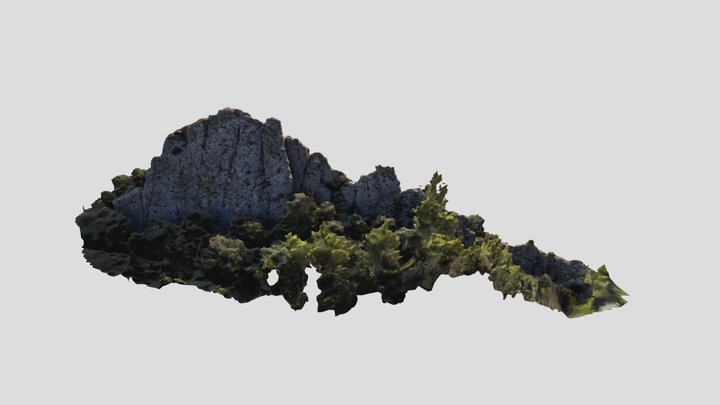 Muraille Alaric 3D Model