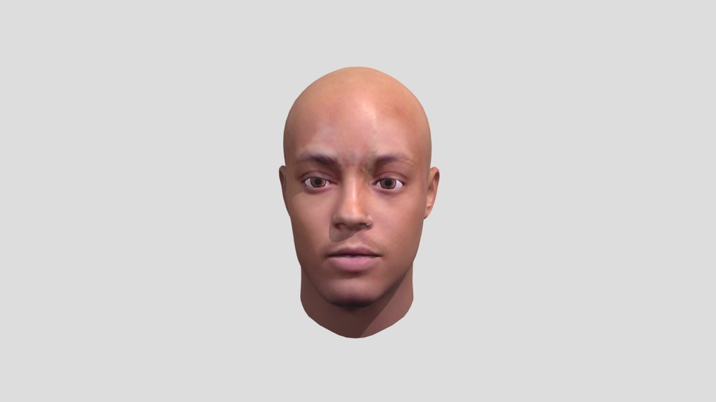 Juice wrld hair A 3D model collection by ghost68843267784 Sketchfab