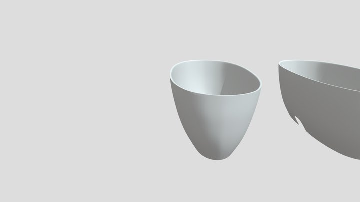 vasca 3D Model